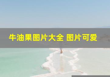 牛油果图片大全 图片可爱